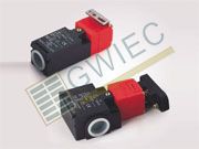 GIEID4D-S Limit Switch